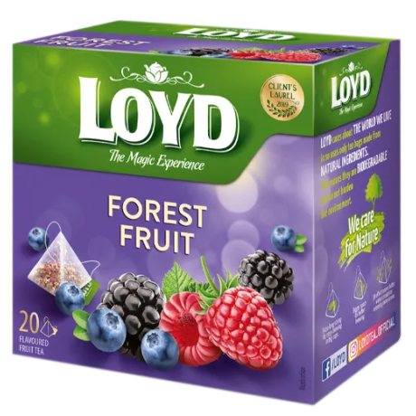 S110 Loyd Pyramid Tea Forest Fruits (10x40g)