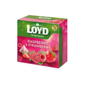 S41 Loyd Pyramid Tea...