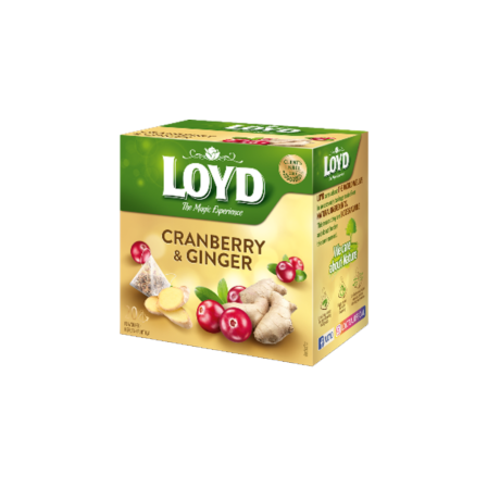 S115 Loyd Pyramid Tea Cranberryb & Ginger (10x40g)