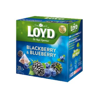 S116 Loyd Pyramid Tea...
