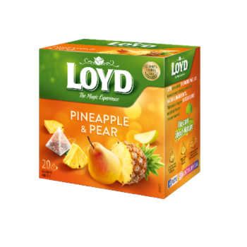 S47 Loyd Pyramid Tea...