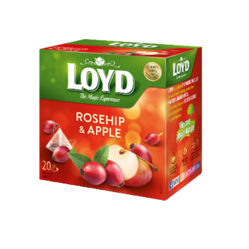 S120 Loyd Pyramid Tea...