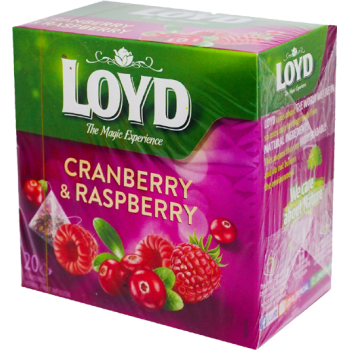 S122 Loyd Pyramid Tea...