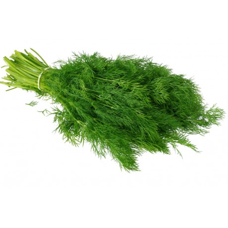 F-V8 Fresh Dill  (Koperek)