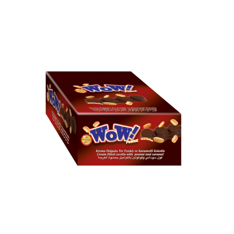 W155 WOW BROWN BISCUIT-WITH PEANUT (24X55G)